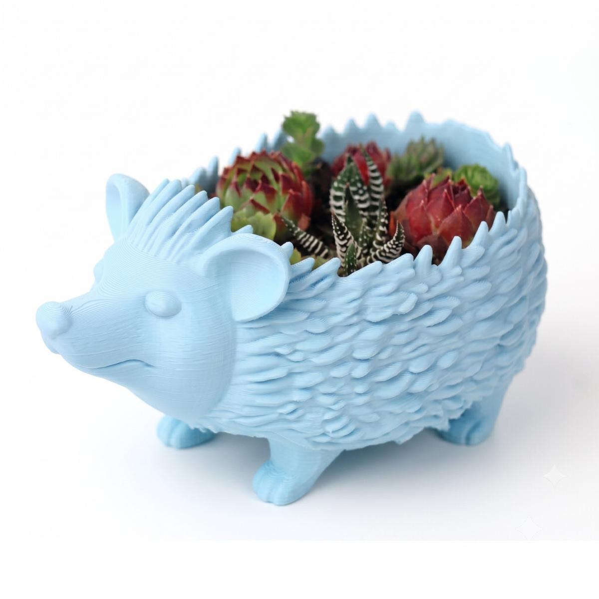 Maceta Decorativa Erizo | Plantas, Suculentas o Cactus — Azul Pastel
