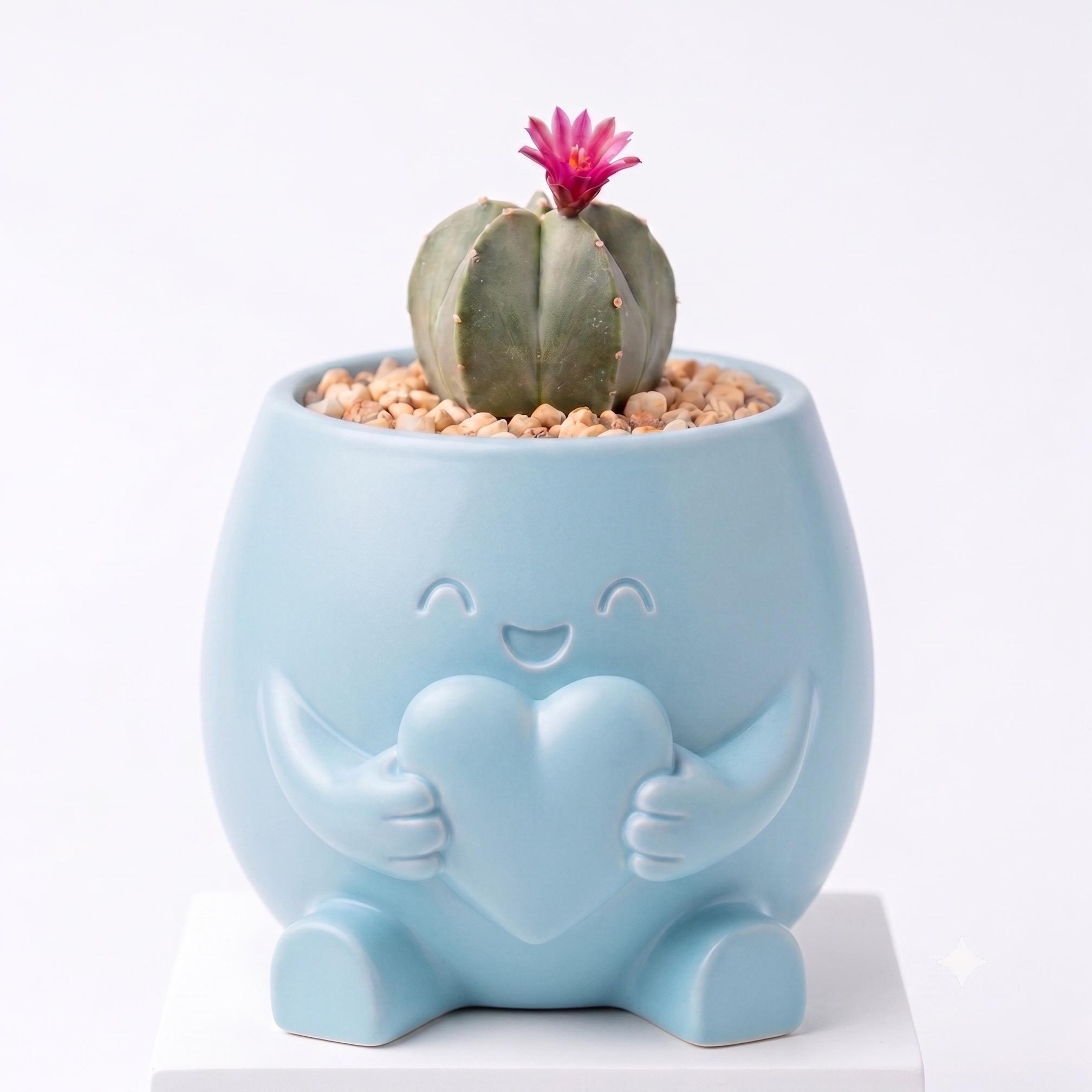 Maceta Decorativa Girly Abrazo Corazón Para Plantas, Suculentas o Cactus — Azul Pastel