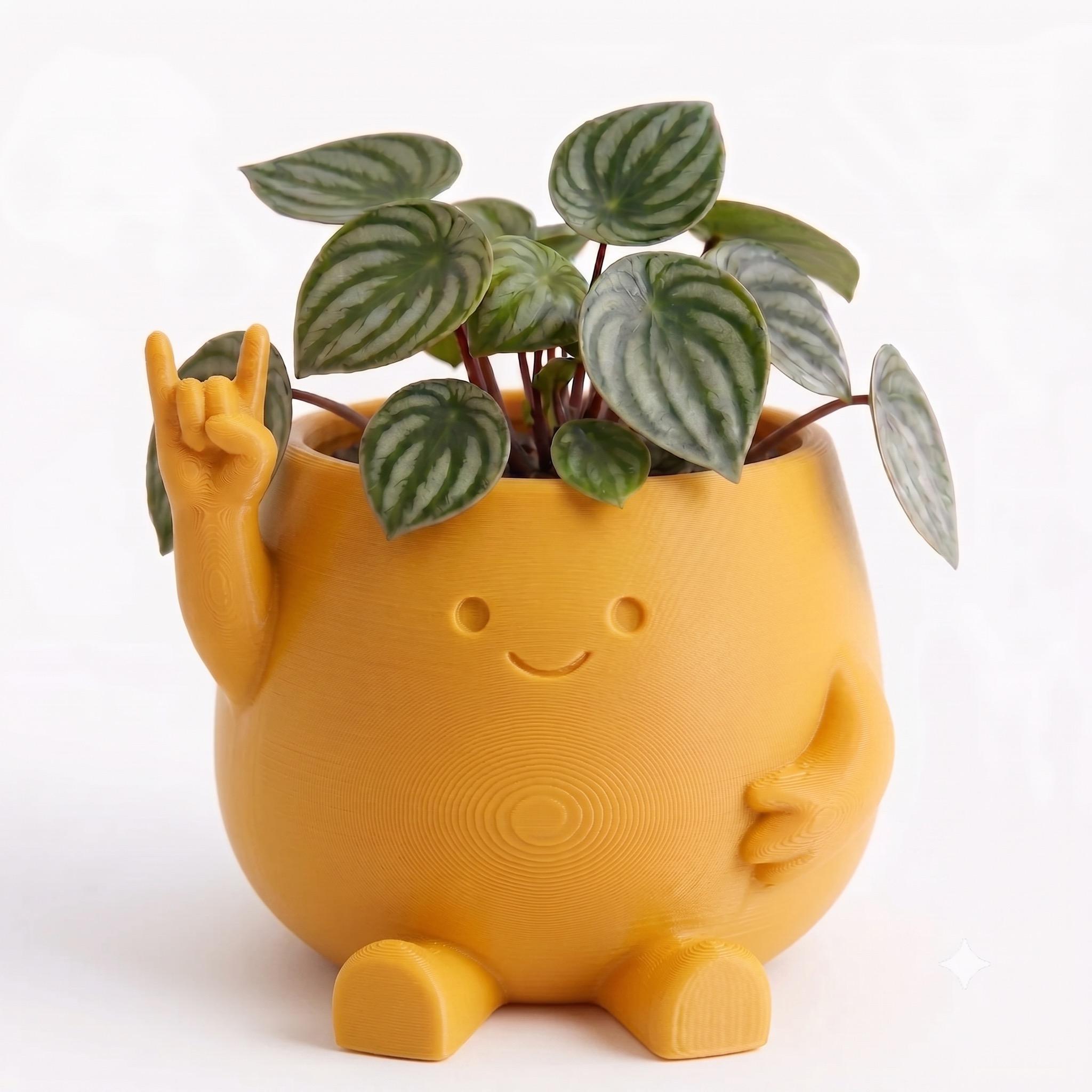 Maceta Decorativa Girly Amor y Paz Para Plantas, Suculentas o Cactus — Amarillo