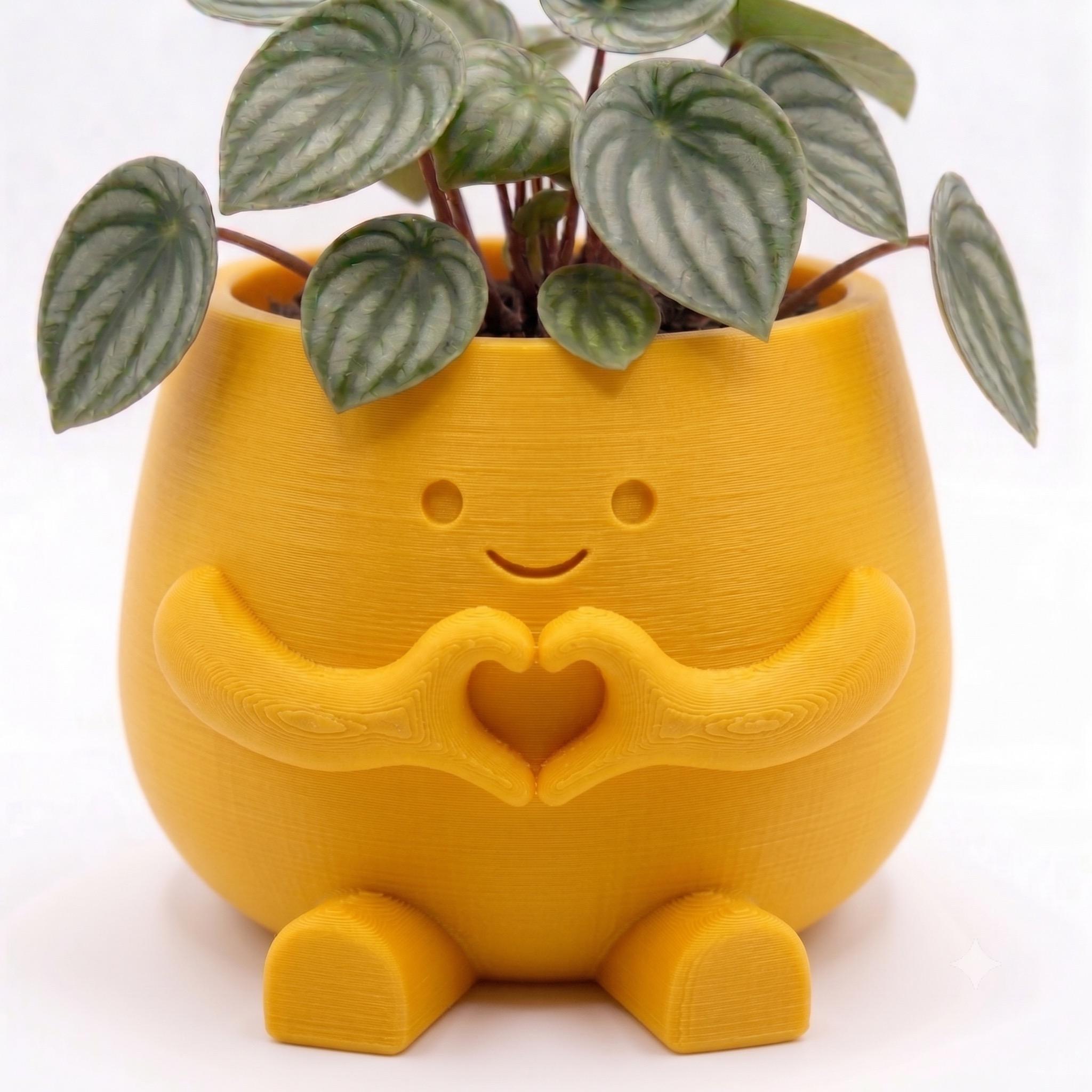 Maceta Decorativa Girly Love Corazón Para Plantas, Suculentas o Cactus — Amarillo