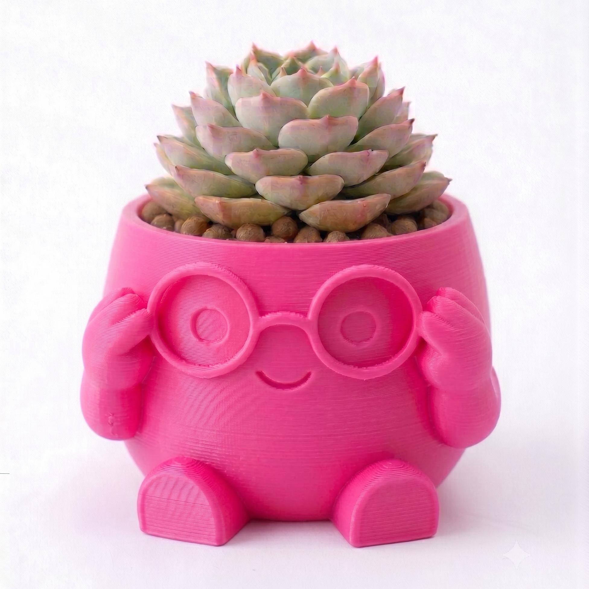 Maceta Decorativa Lentes Girly Para Plantas, Suculentas o Cactus