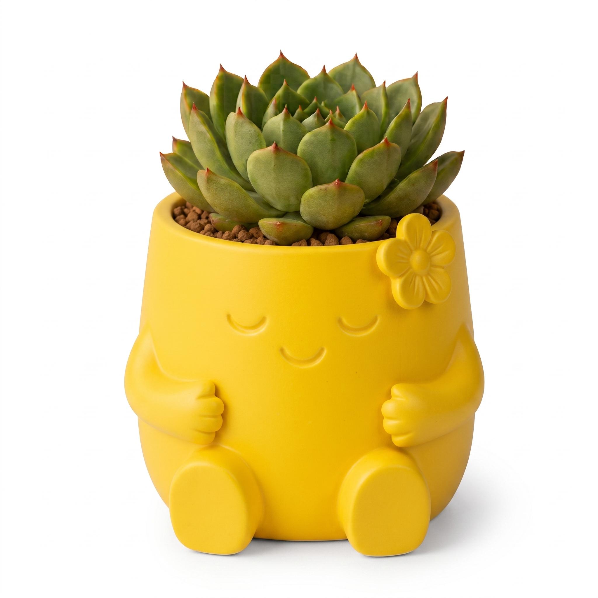 Mini Maceta Personaje Florecita — Amarilla